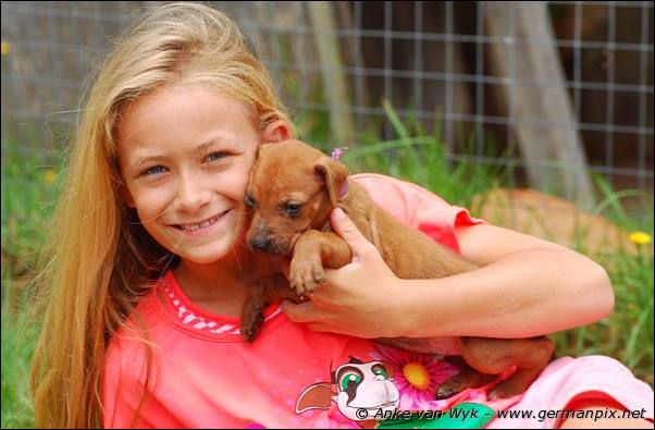 I-litter - 28 days old