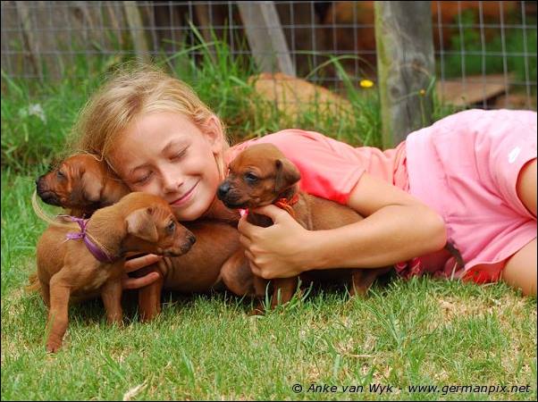 I-litter - 28 days old