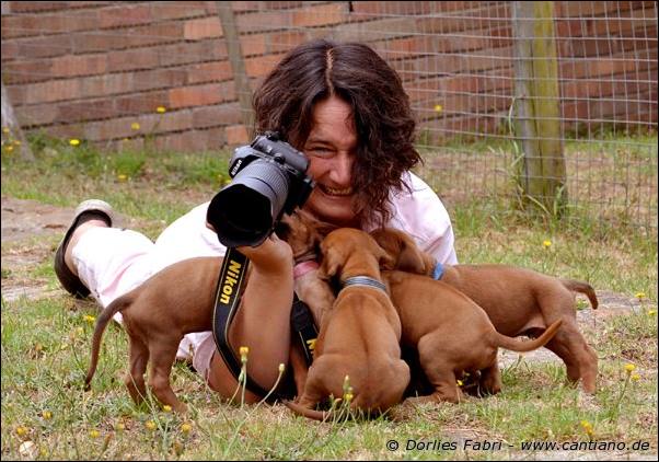 I-litter - 32 days old