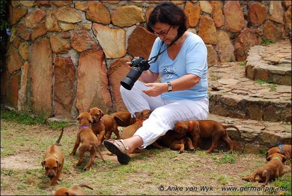 I-litter - 32 days old