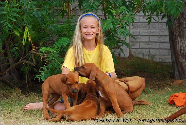 I-litter - 58 days old