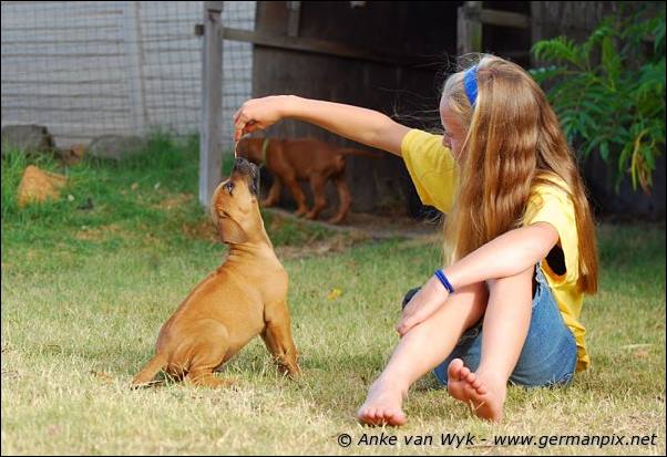 I-litter - 58 days old