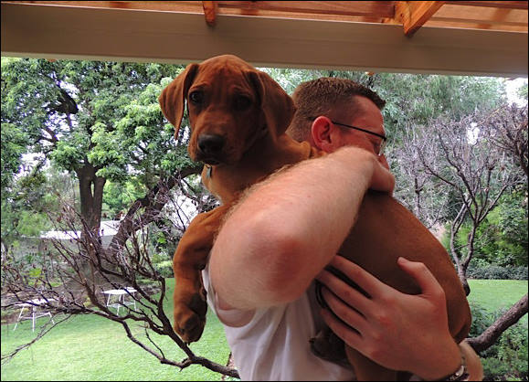 Heshimayakimba Igdaliah Paddy