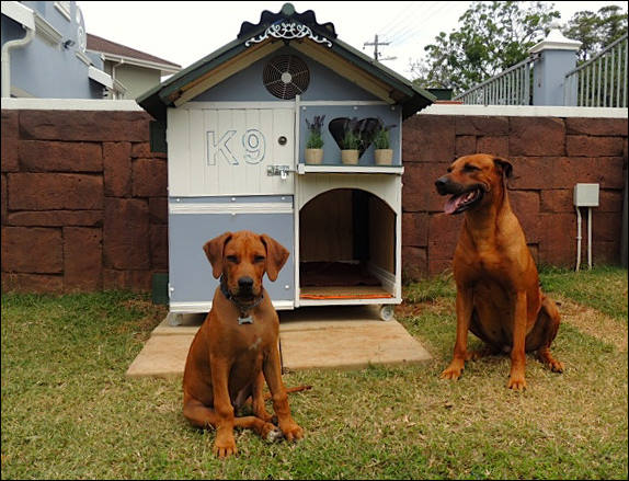 Heshimayakimba Igdaliah Paddy (left)