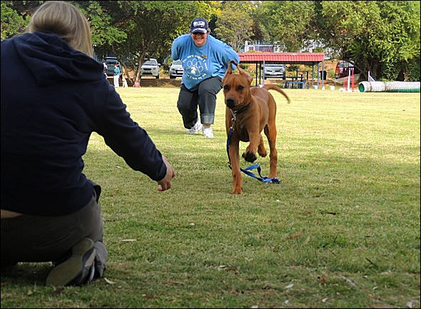 Heshimayakimba Igdaliah Paddy