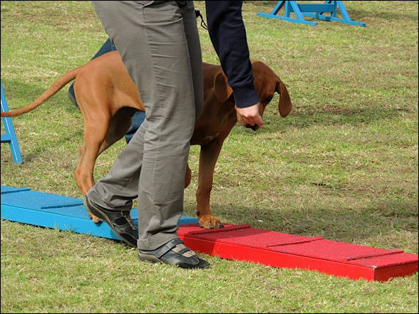 Heshimayakimba Igdaliah Paddy