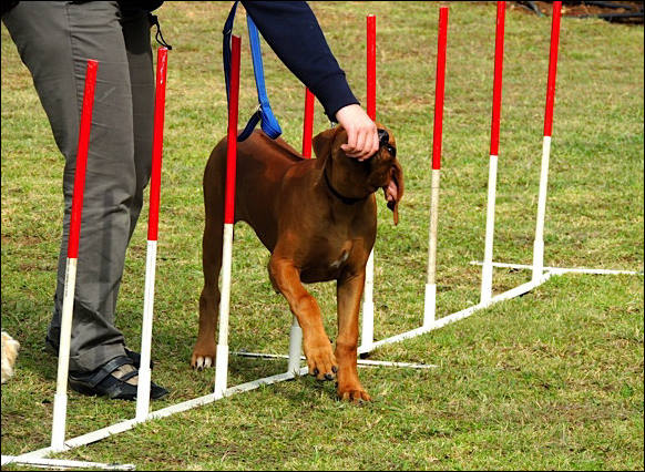 Heshimayakimba Igdaliah Paddy