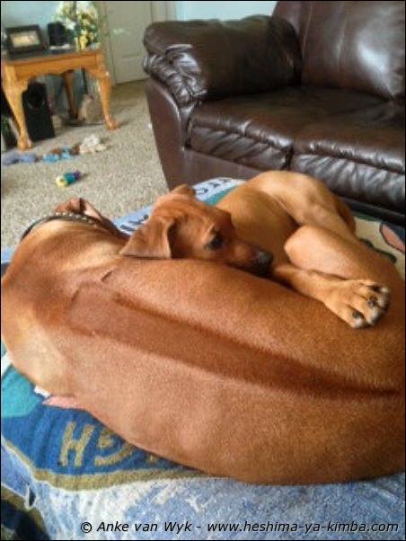 Heshimayakimba Ishi Zena with Heshimayakimba Gwiza