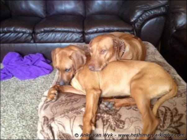 Heshimayakimba Ishi Zena with Heshimayakimba Gwiza