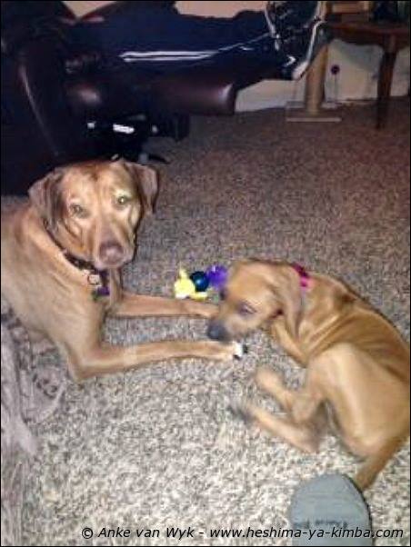 Heshimayakimba Ishi Zena with Heshimayakimba Gwiza