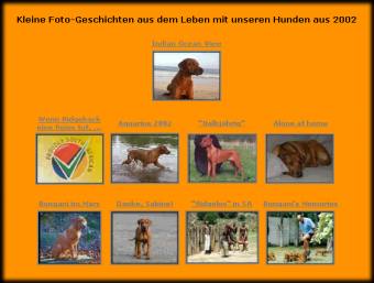 Visit the photo stories!