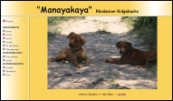 Heshima ya Kimba Fayola Kianga (Kennel Manayakaya - Spain)