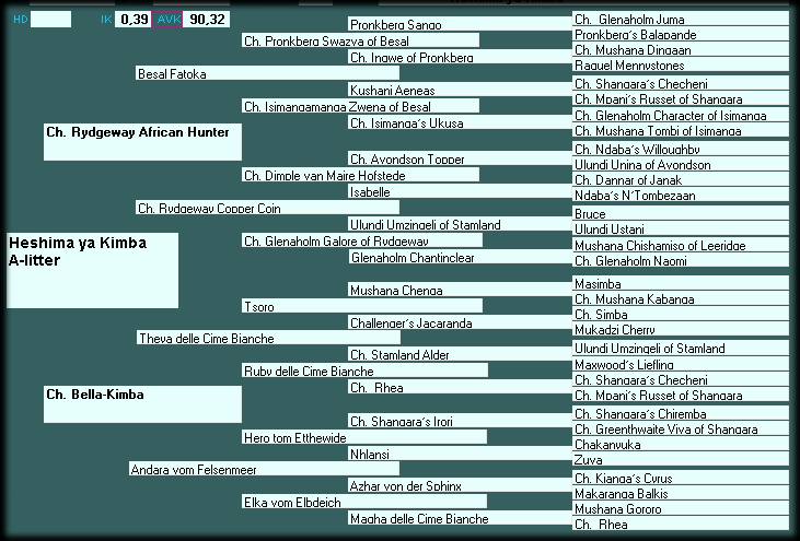 Pedigree Heshima ya Kimba A-litter