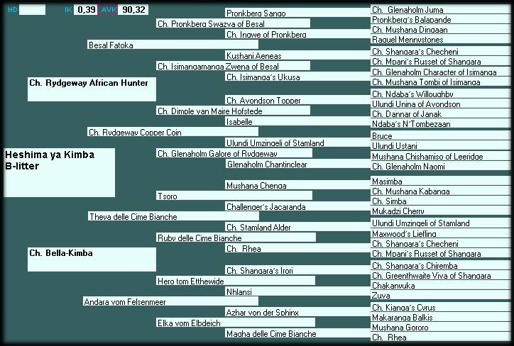Pedigree Heshima ya Kimba B-litter