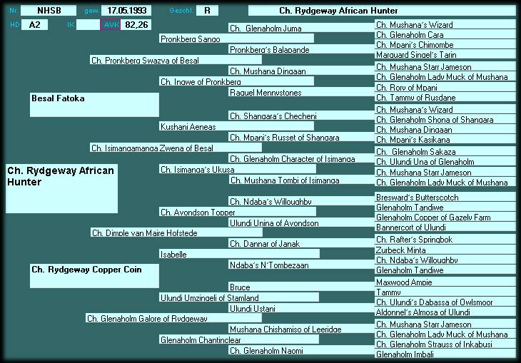 Pedigree CH. Rydgeway African Hunter