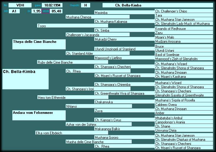 Pedigree CH. Bella-Kimba