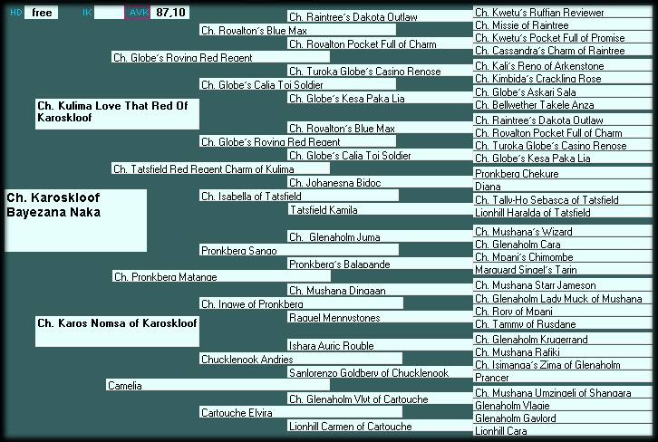 Pedigree CH. (SA) & CH. (USA) Karoskloof Bayezana Naka